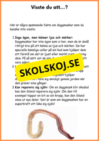 Om daggmasken - Åk 4 - 6