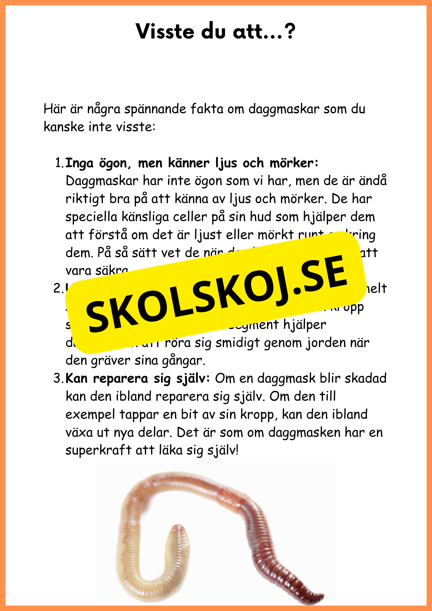Om daggmasken - Åk 4 - 6