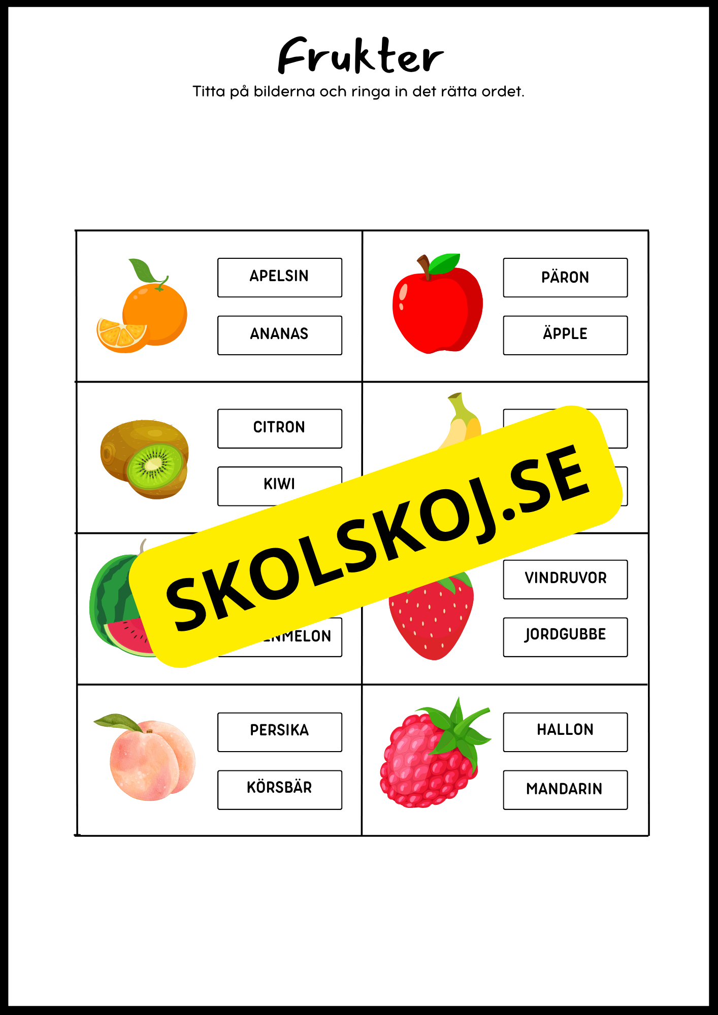 Ord i fokus - Häfte