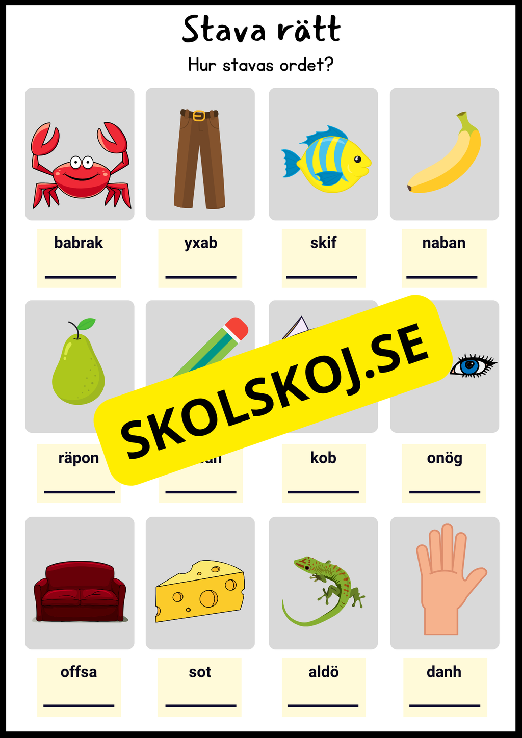 Ord i fokus - Häfte
