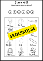 Ord i fokus - Häfte