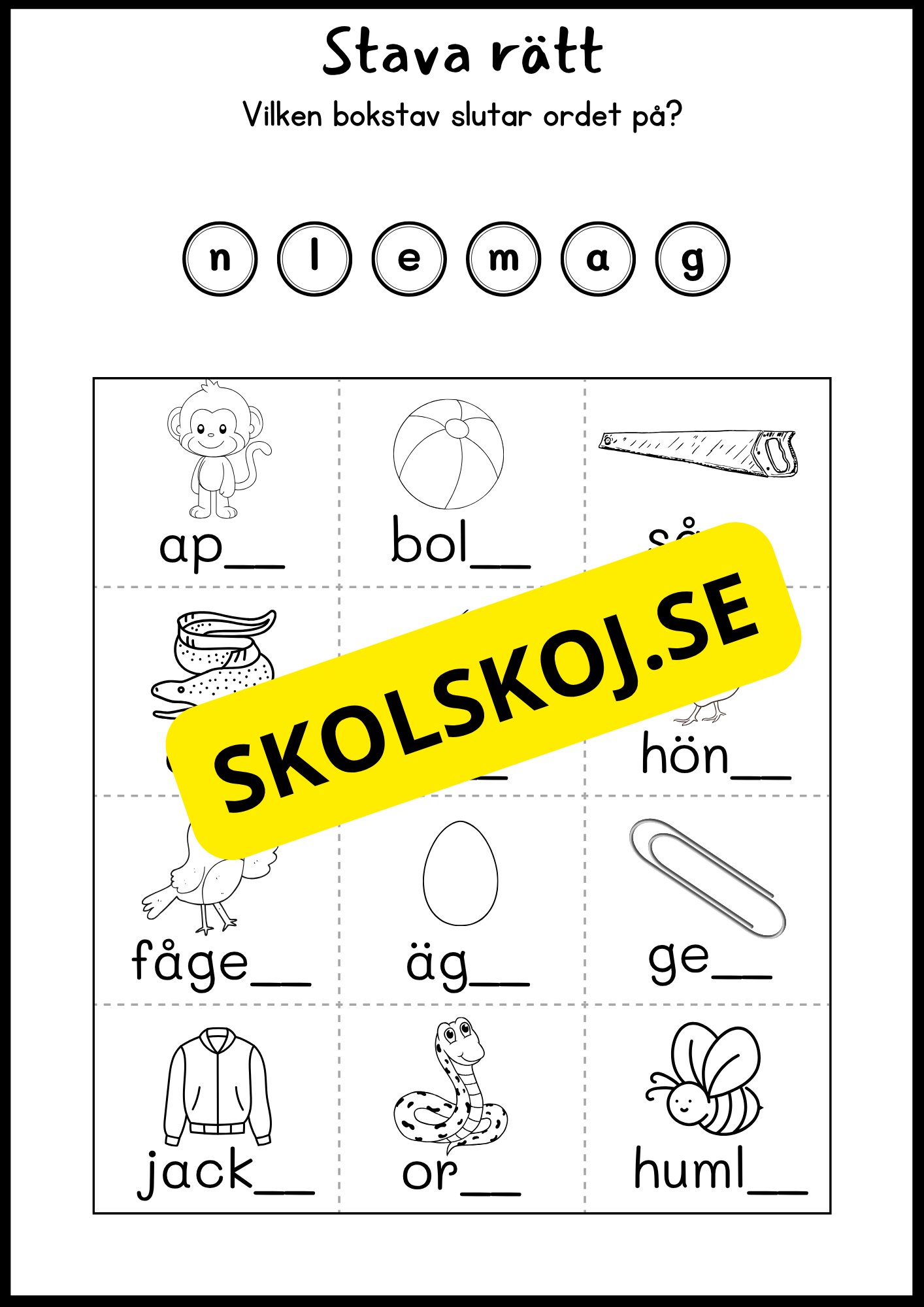 Ord i fokus - Häfte