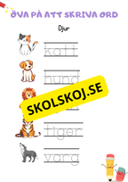 Öva på att skriva ord