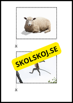 Rimord läs och