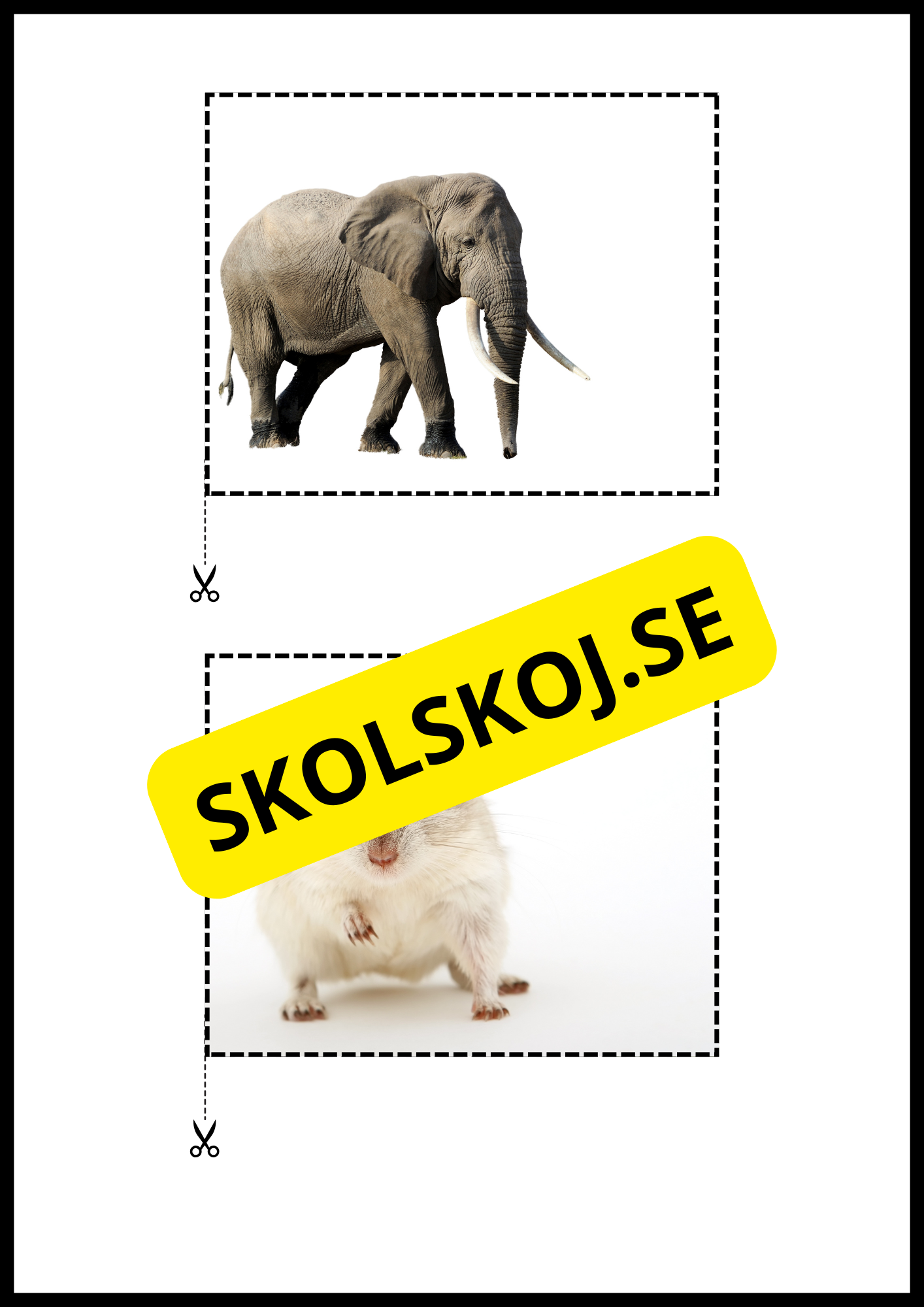 Rimord läs och