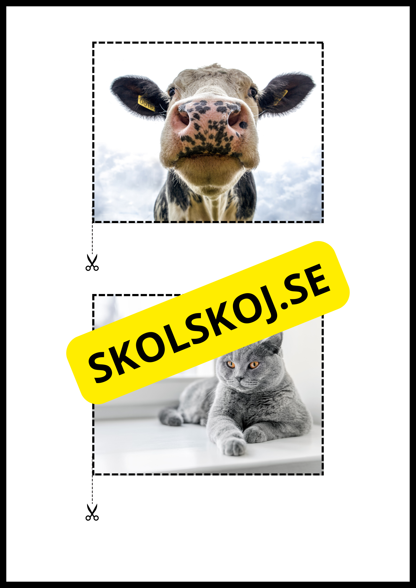 Rimord läs och