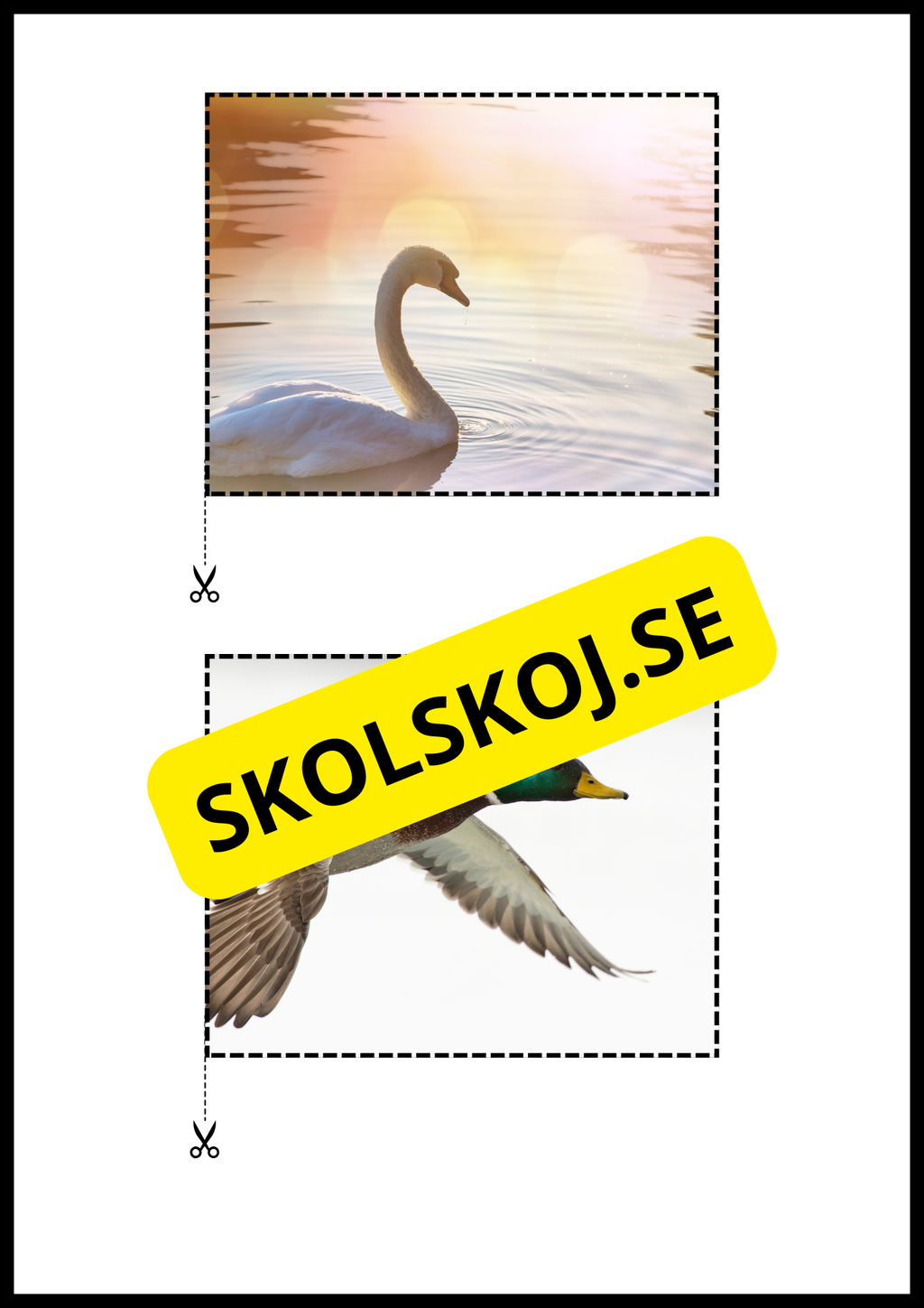 Rimord läs och