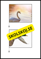 Rimord läs och