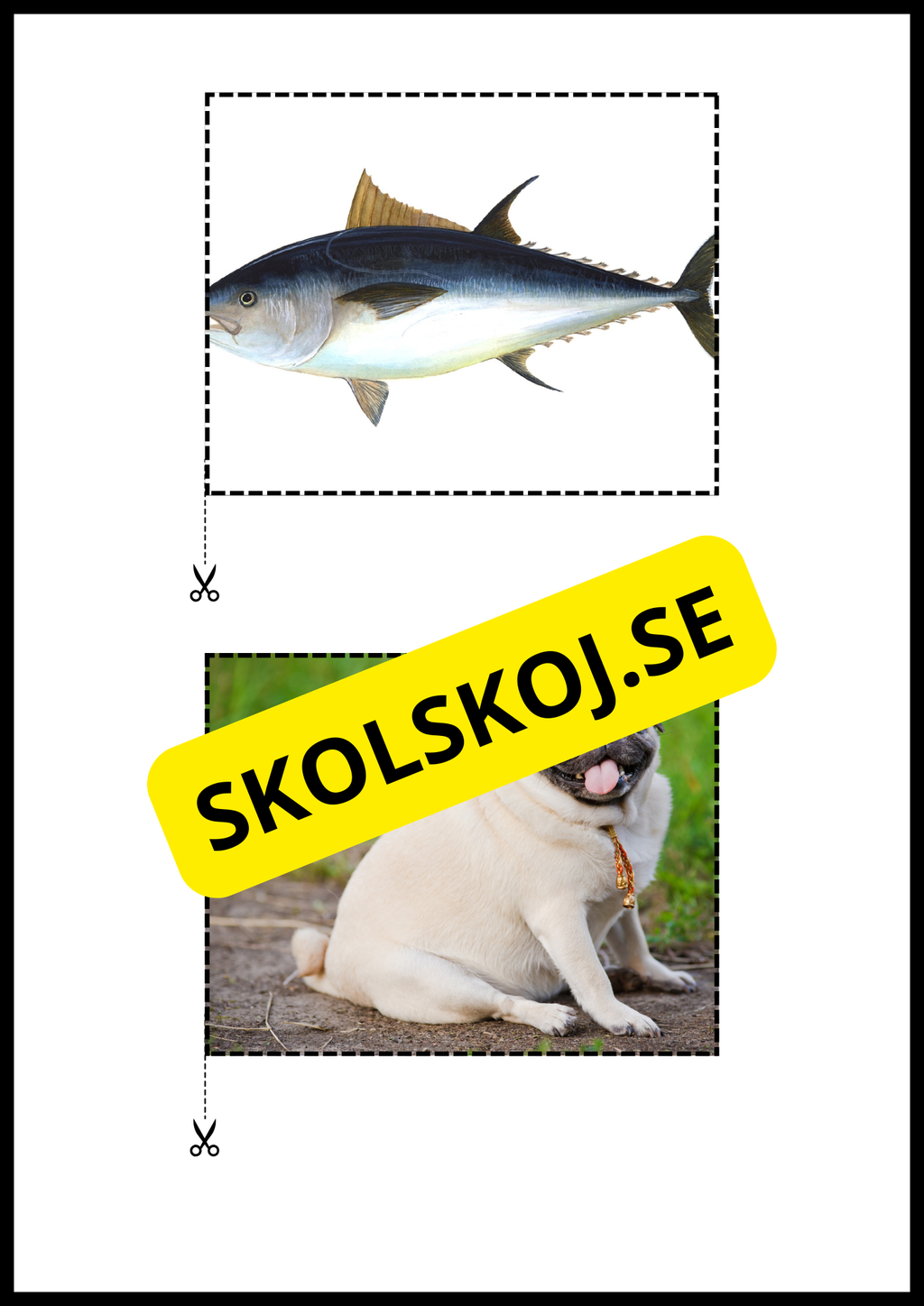 Rimord läs och