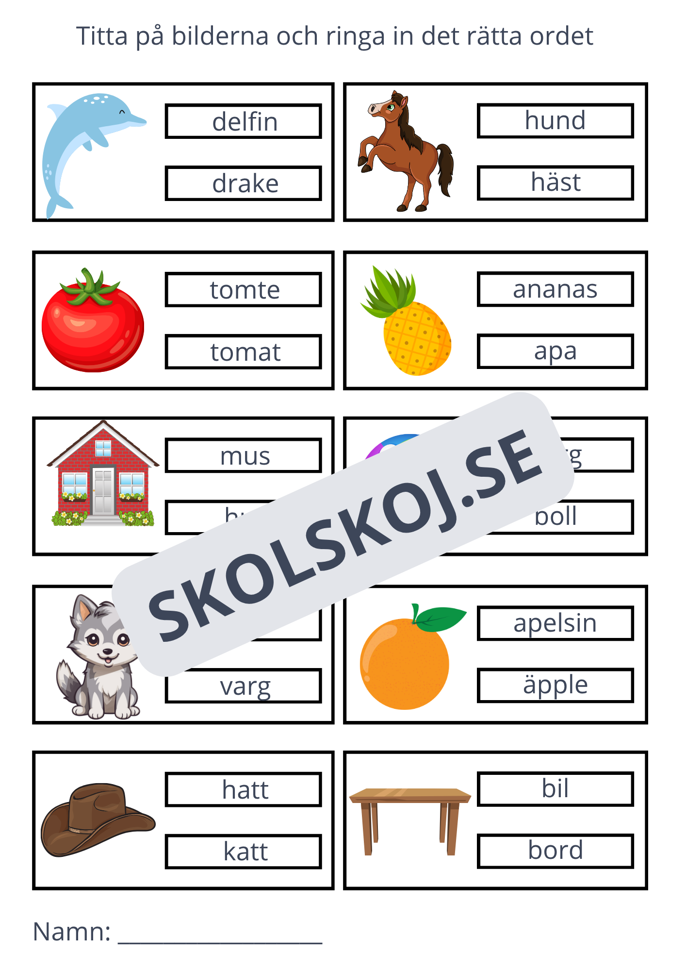 Ringa in rätt ord - 11 sidor