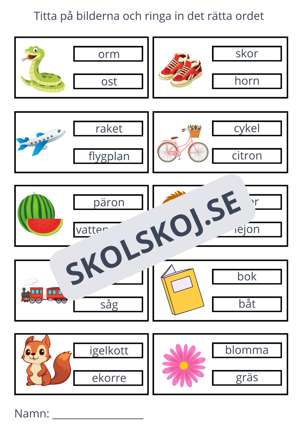 Ringa in rätt ord - 11 sidor