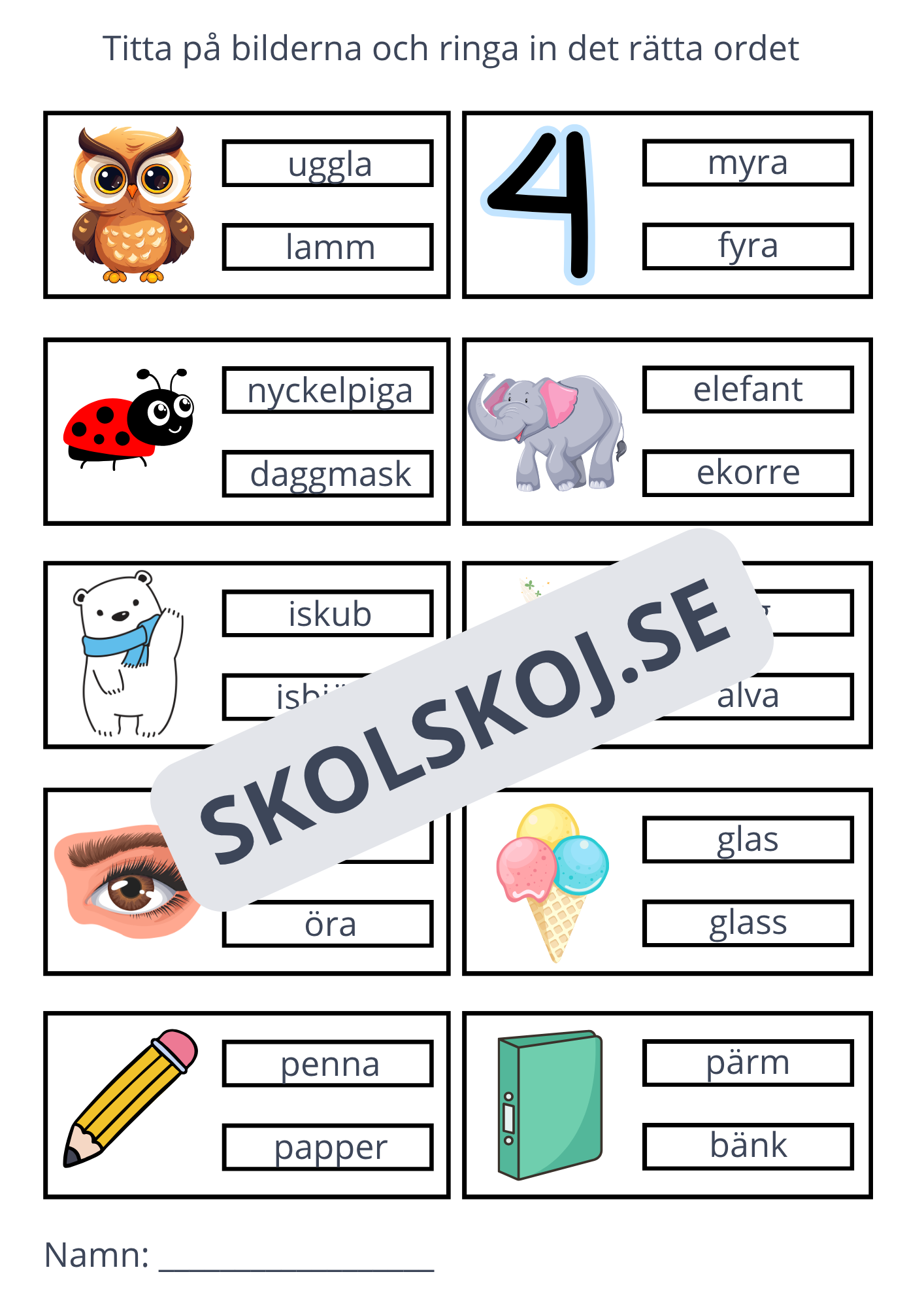 Ringa in rätt ord - 11 sidor
