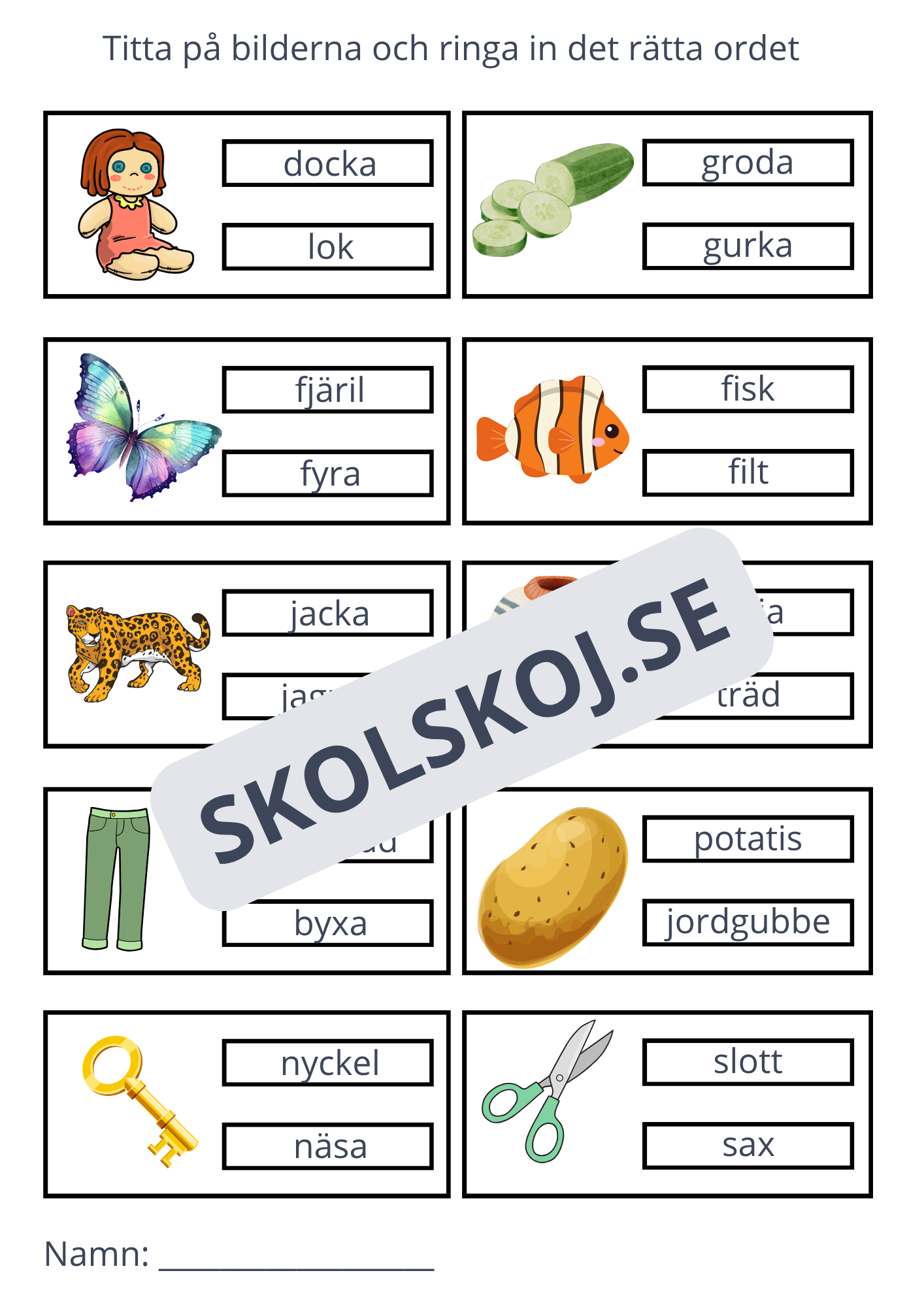 Ringa in rätt ord - 11 sidor