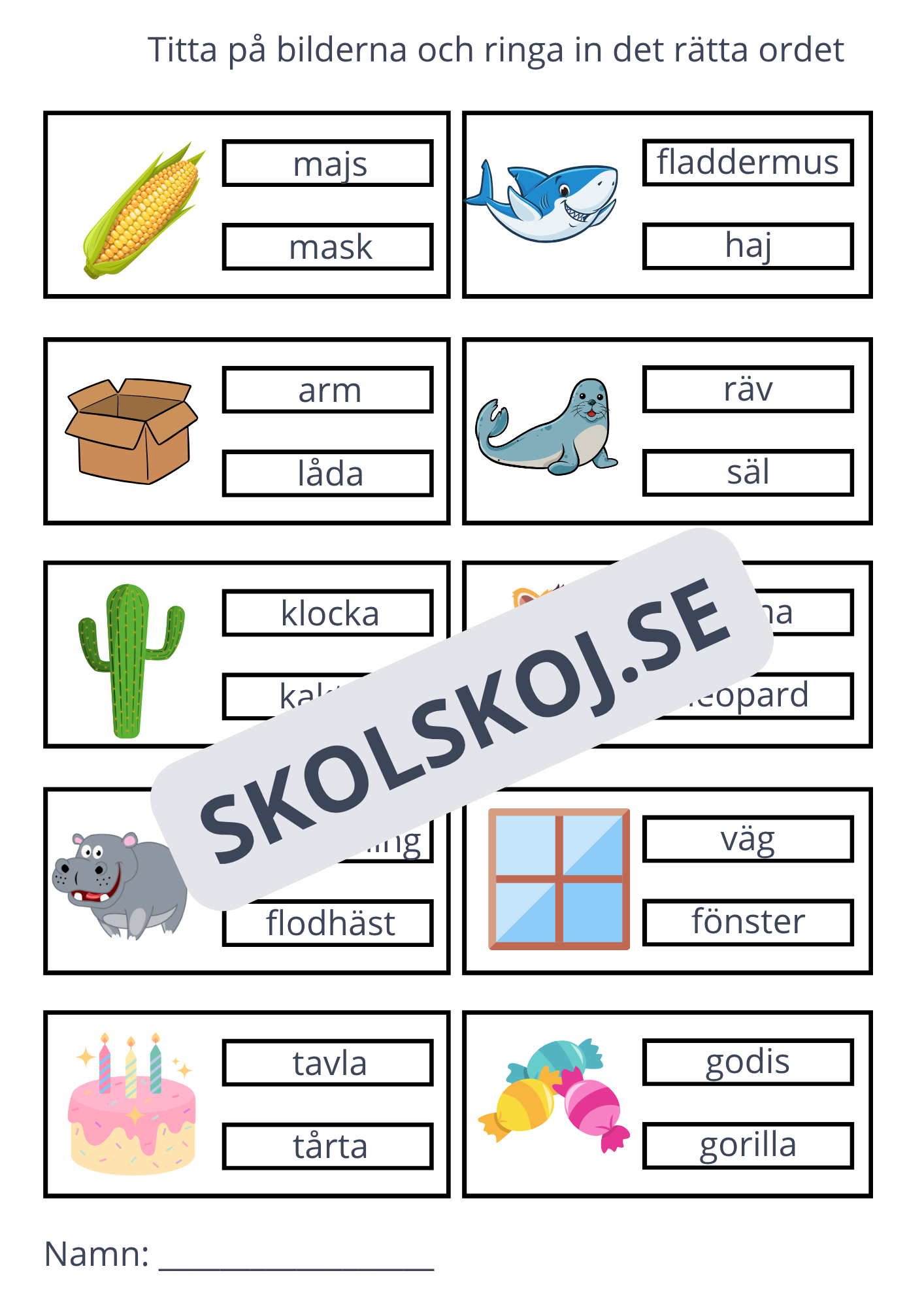 Ringa in rätt ord - 11 sidor