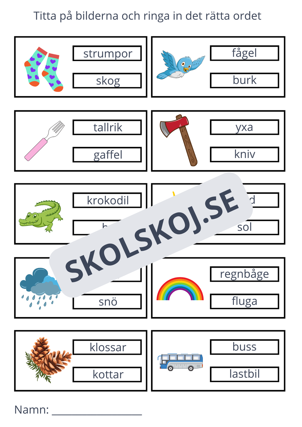 Ringa in rätt ord - 11 sidor