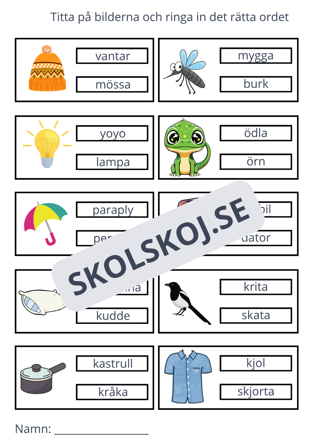 Ringa in rätt ord - 11 sidor