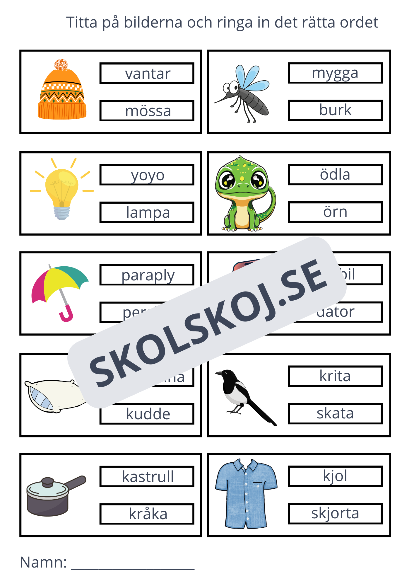 Ringa in rätt ord - 11 sidor