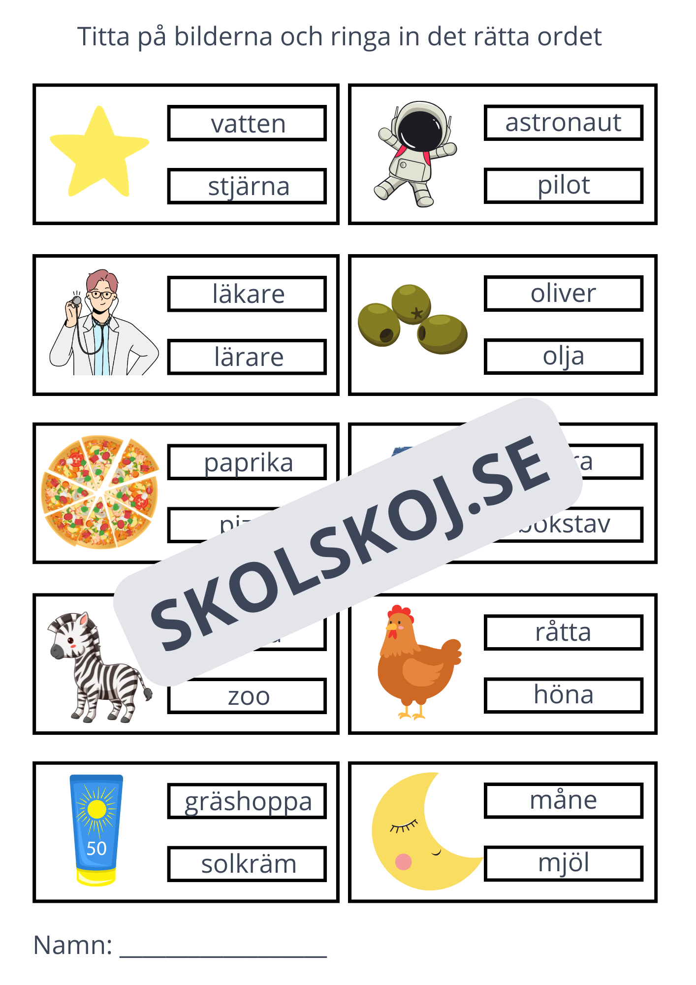 Ringa in rätt ord - 11 sidor