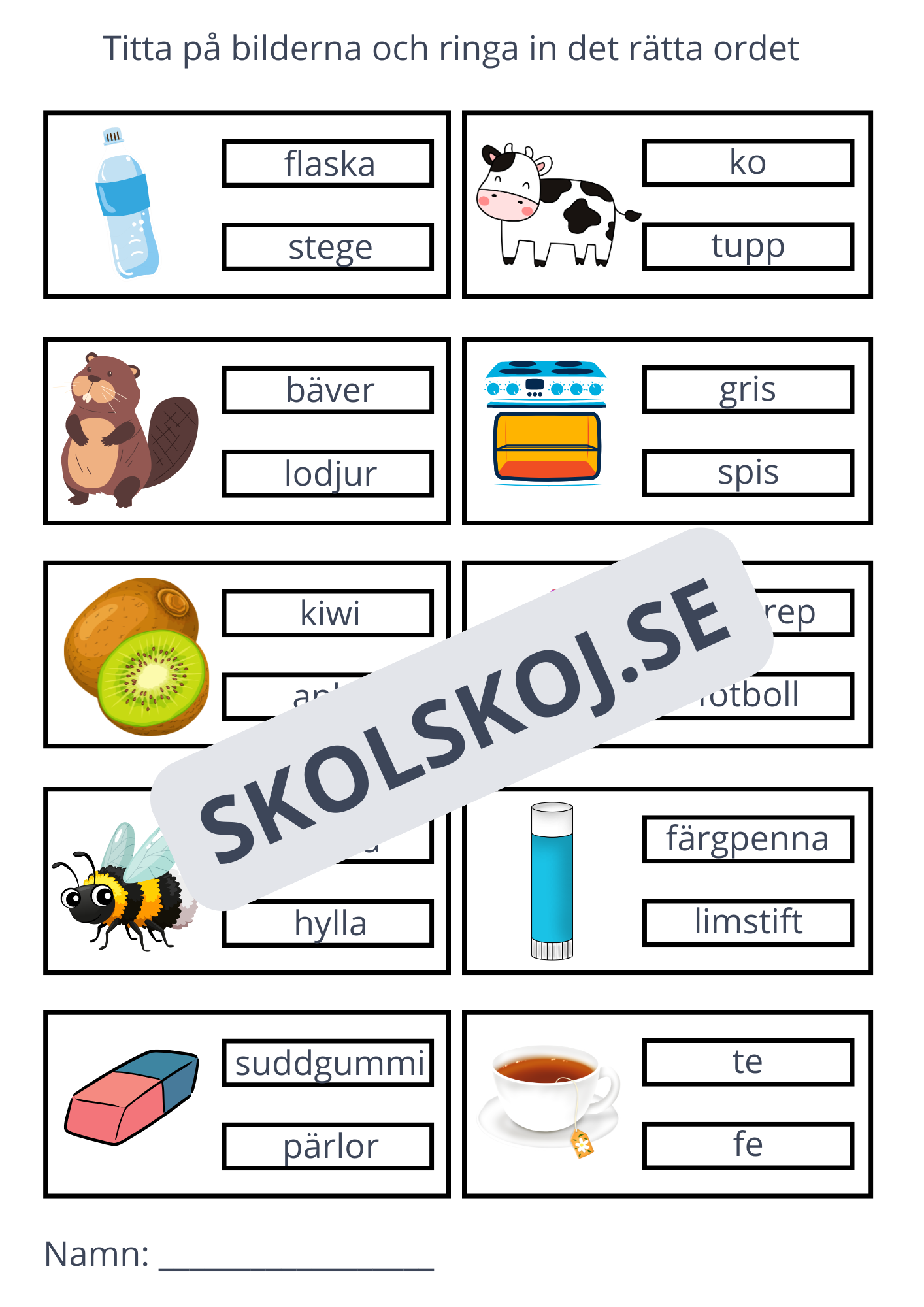 Ringa in rätt ord - 11 sidor