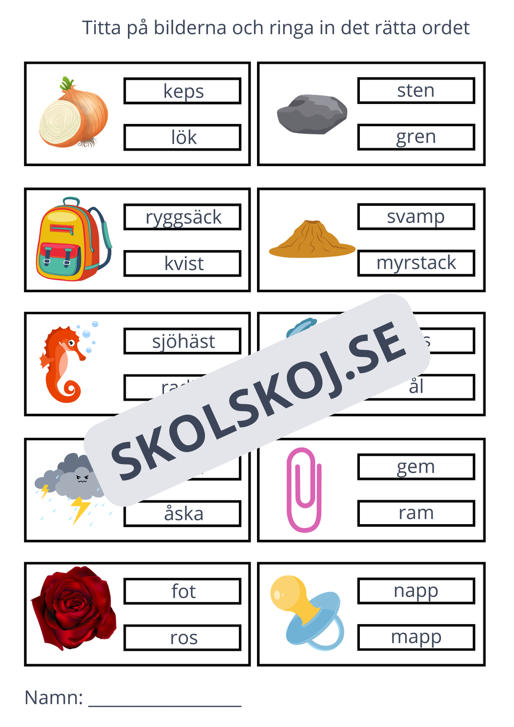Ringa in rätt ord - 11 sidor