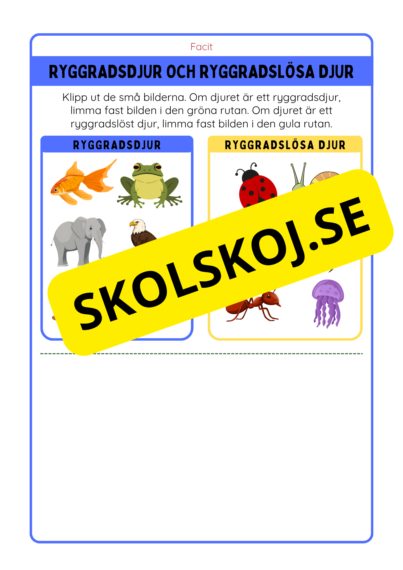Ryggradsdjur och ryggradslösa djur