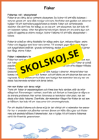 Sjöar och vattendrag - Årskurs 4 - 5