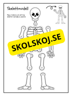 Skelettmodell