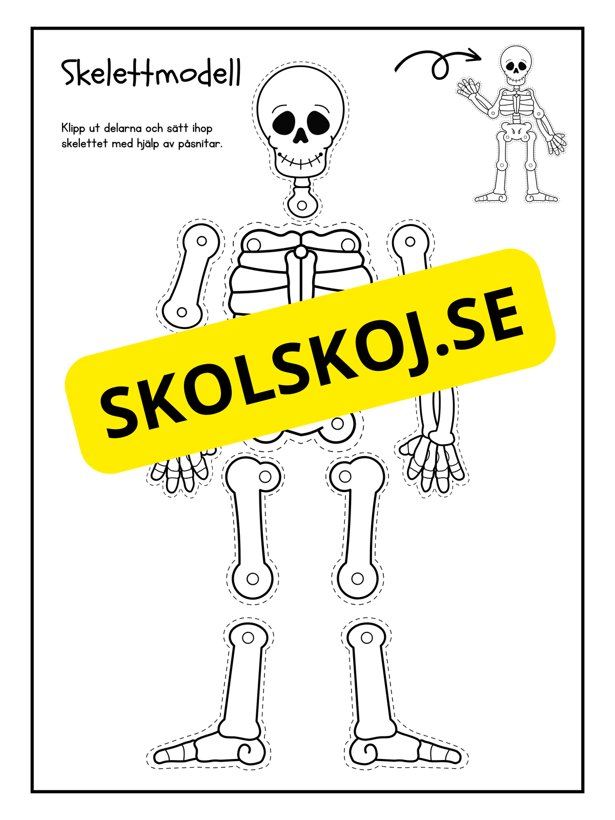 Skelettmodell