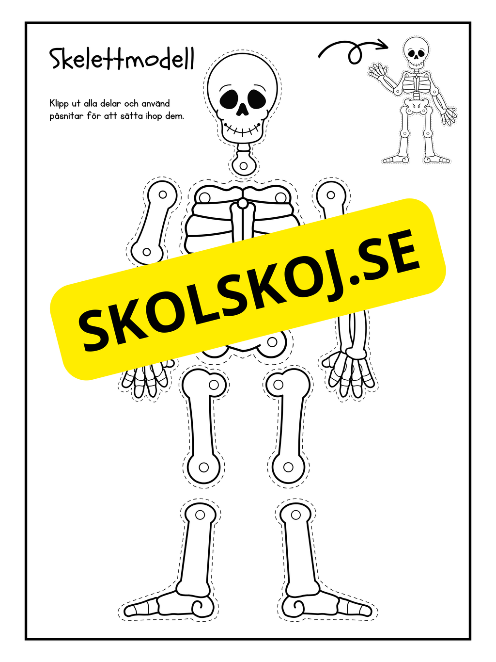Skelettmodell