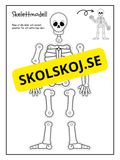 Skelettmodell