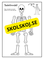 Skelettmodell