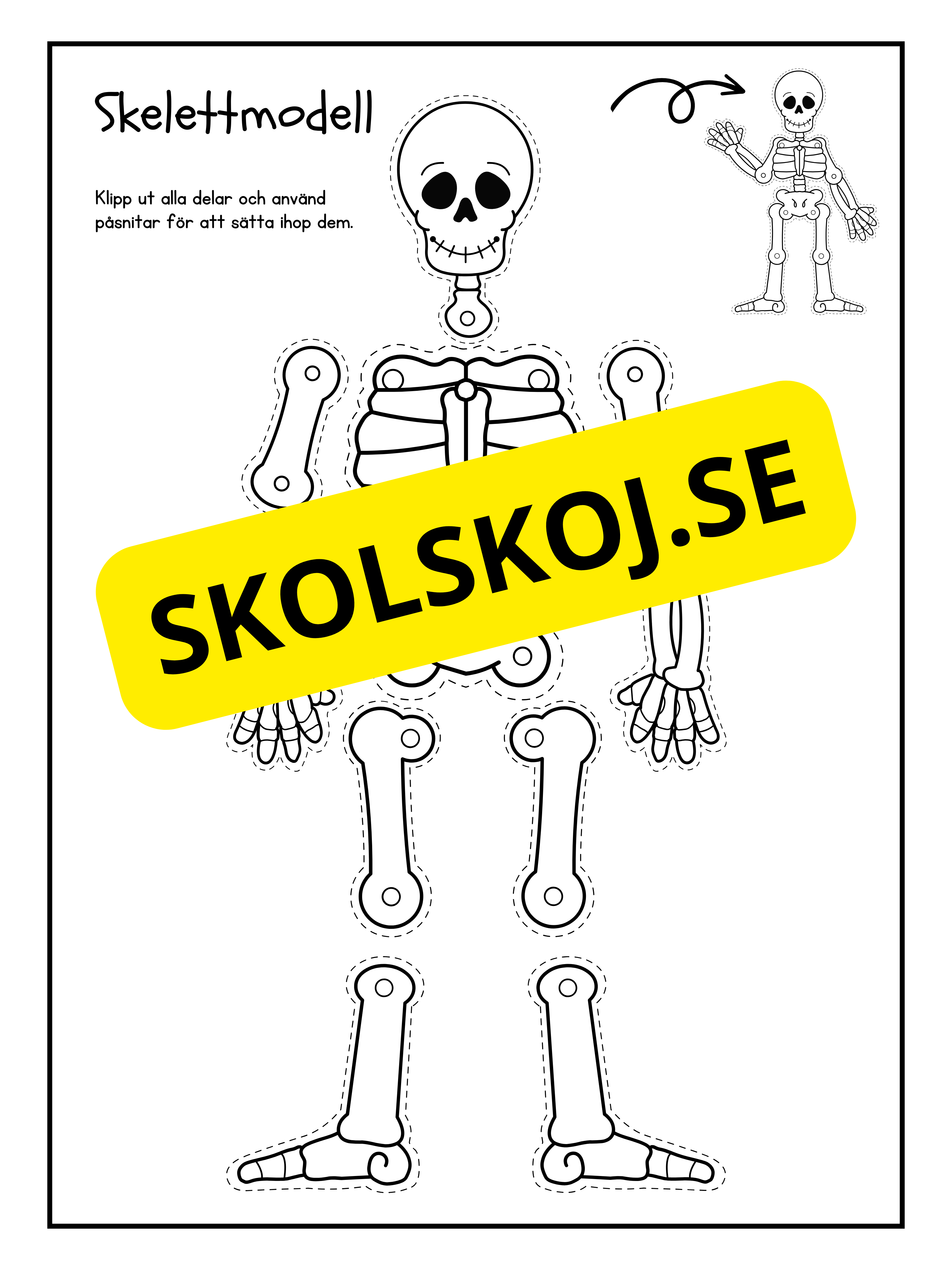 Skelettmodell