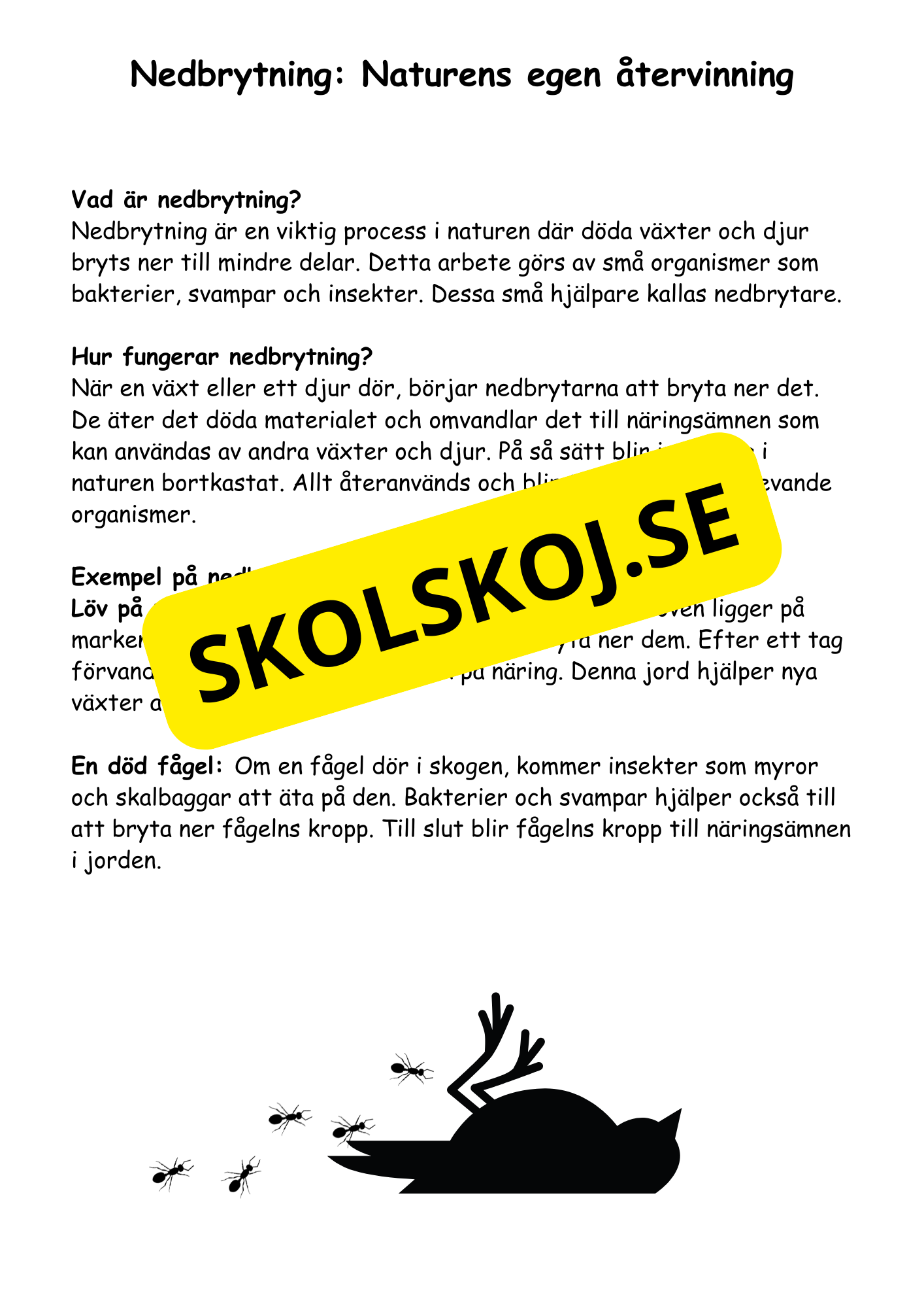 Skogen - Nedbrytning - Årskurs 4 - 6