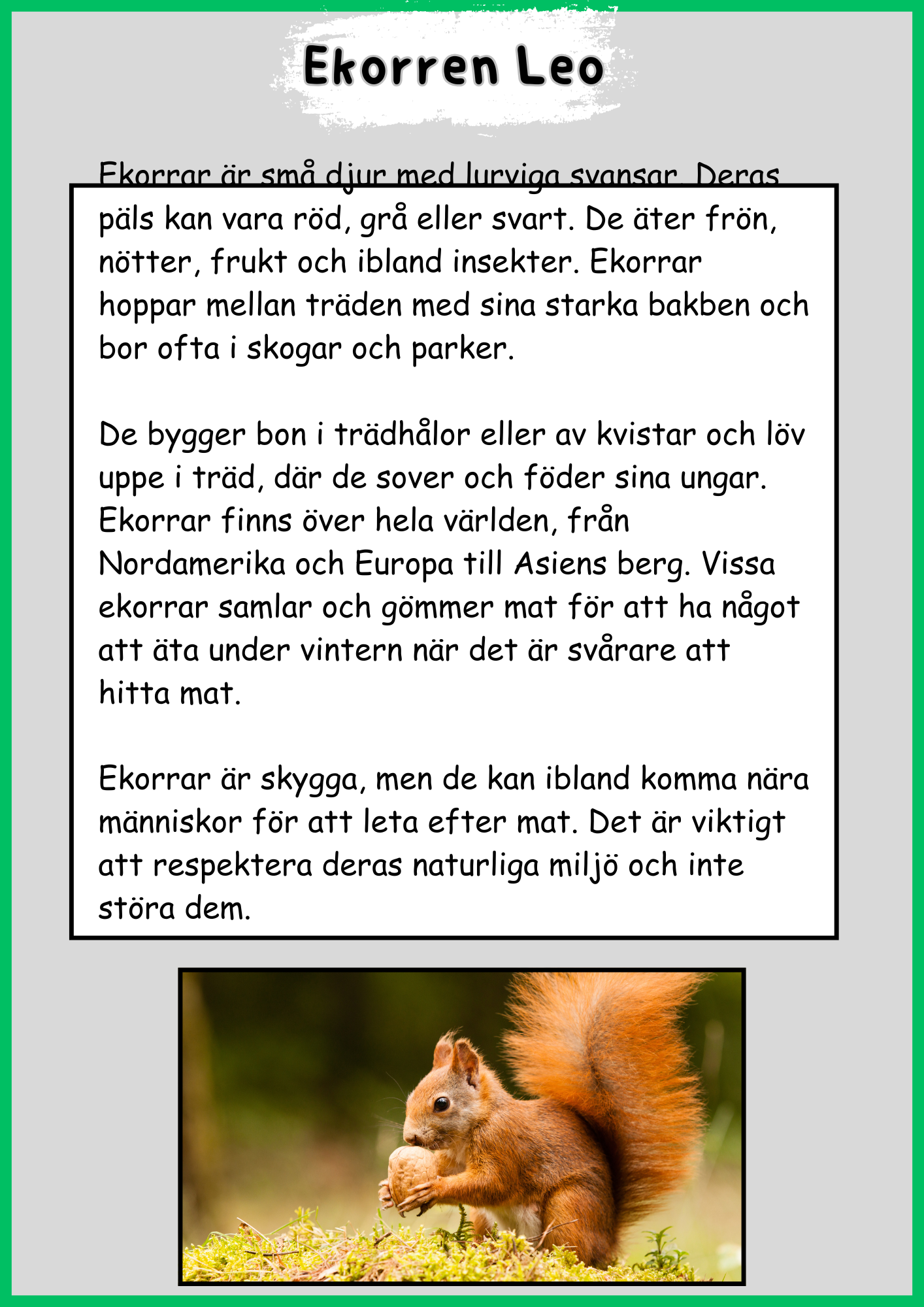 Skogens djur - Ekorren Leo
