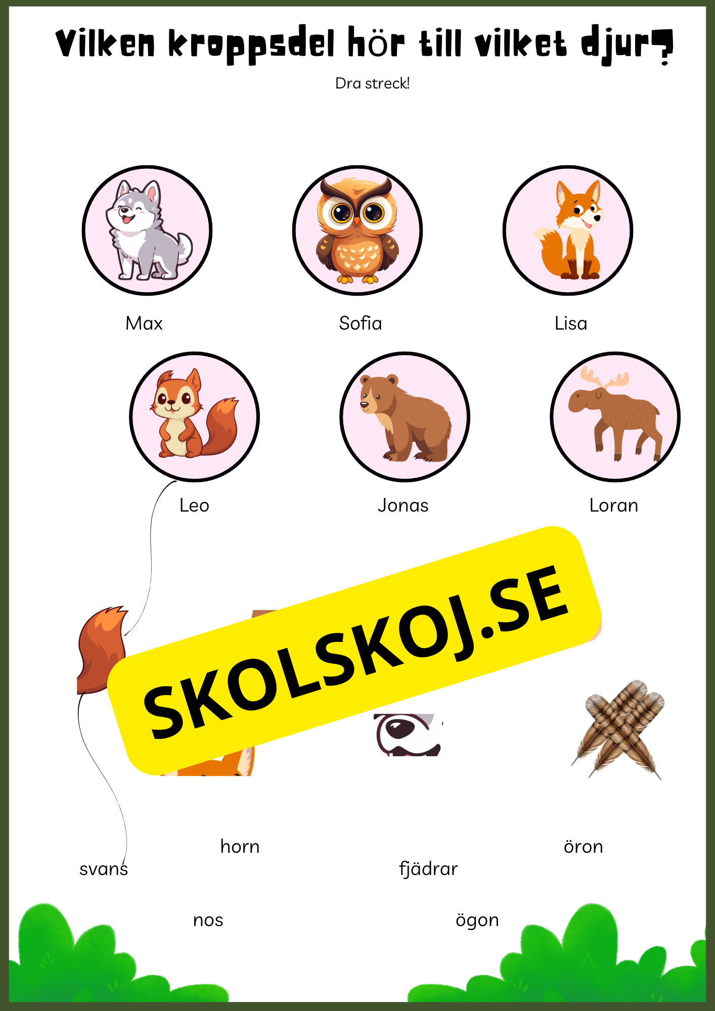 Skogens djur - Enkel läsförståelse