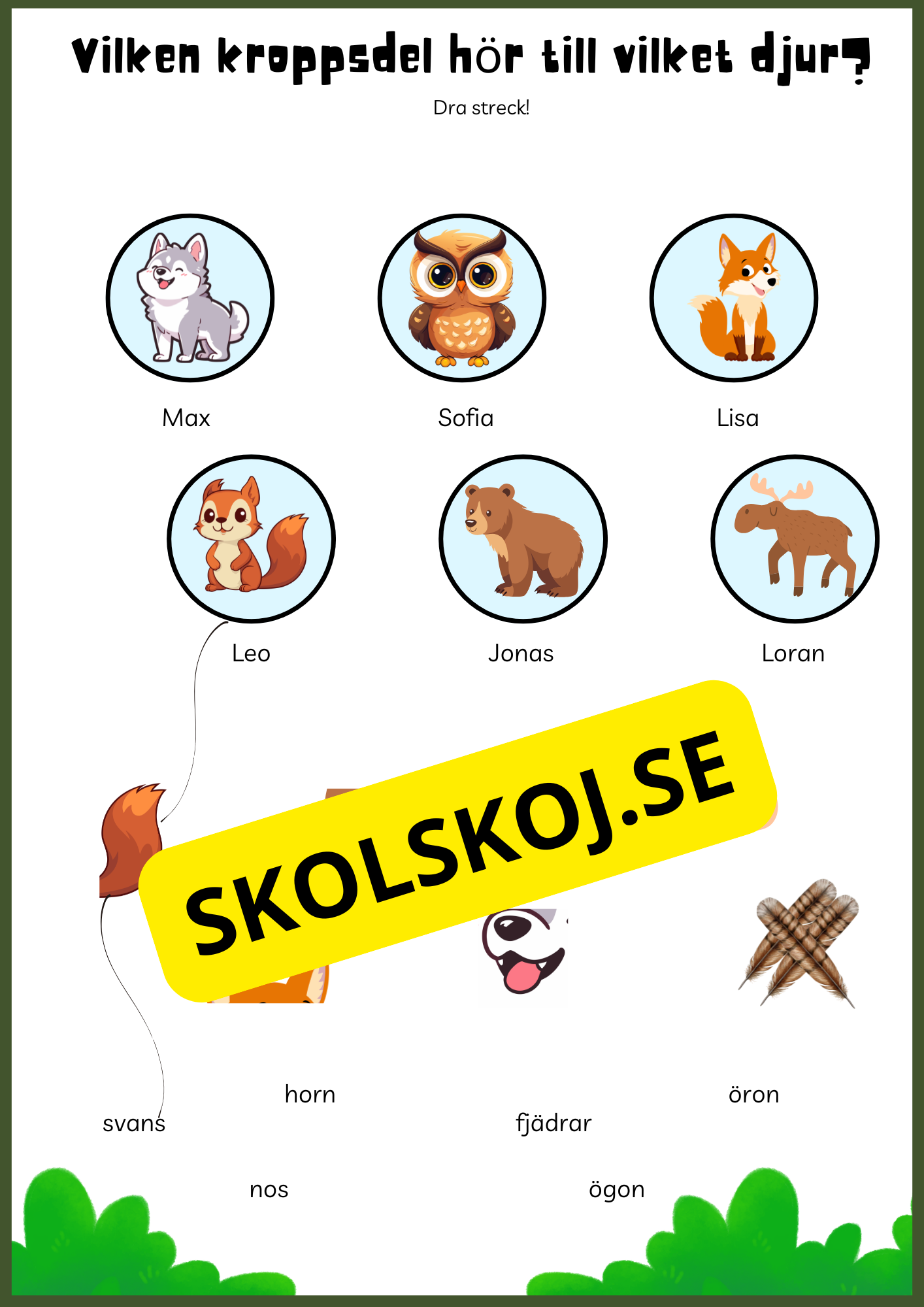 Skogens djur - Enkel läsförståelse