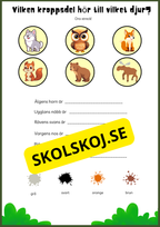 Skogens djur - Enkel läsförståelse