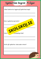 Skogens djur - Igelkott - Fakta - Läsförståelse