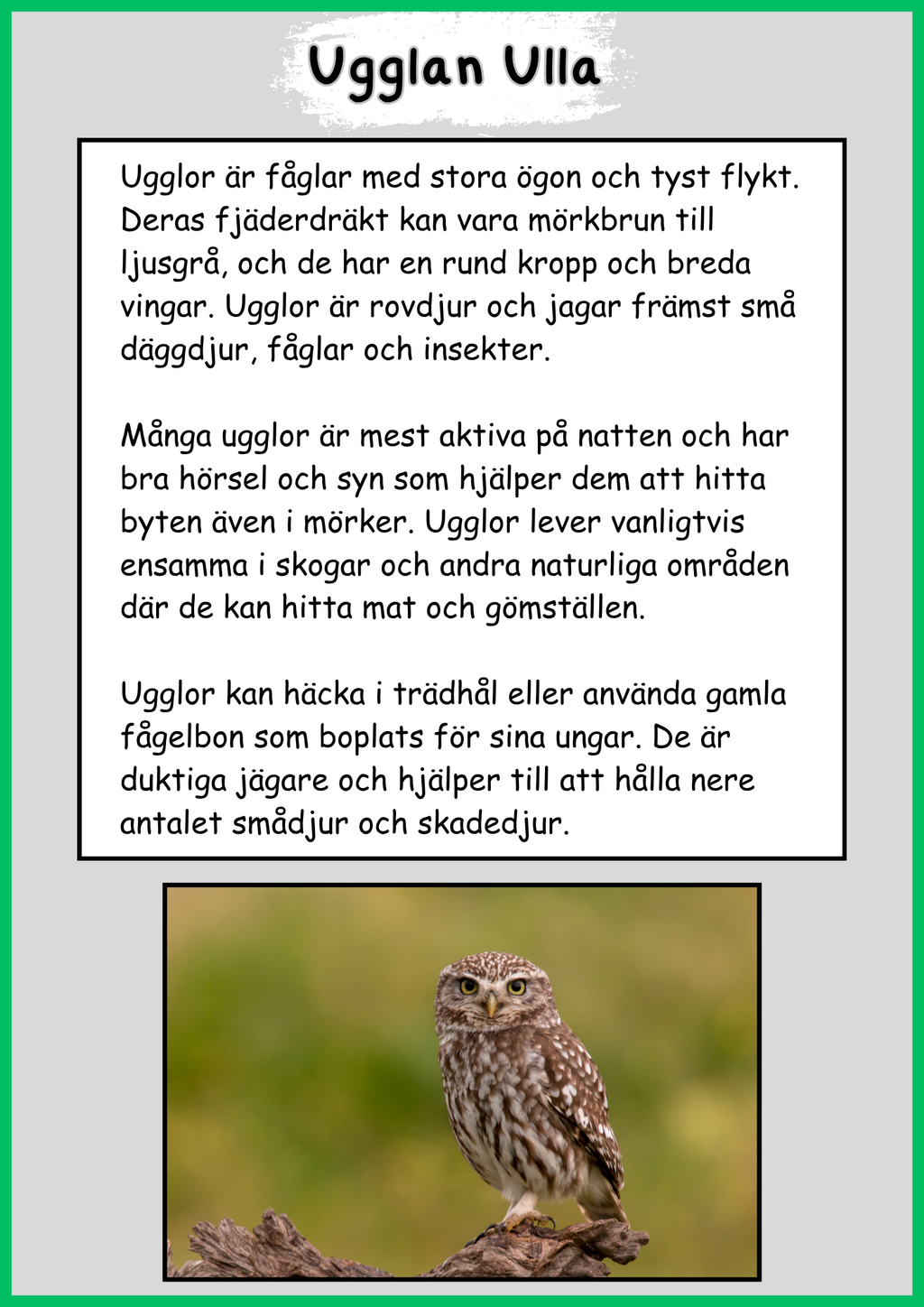 Skogens djur - Uggla - Fakta - Läsförståelse