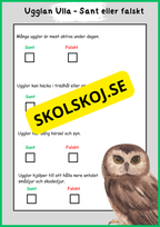 Skogens djur - Uggla - Fakta - Läsförståelse