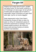 Skogens djur - Vargen - Fakta - Läsförståelse