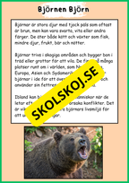 Skogens djur - Häfte