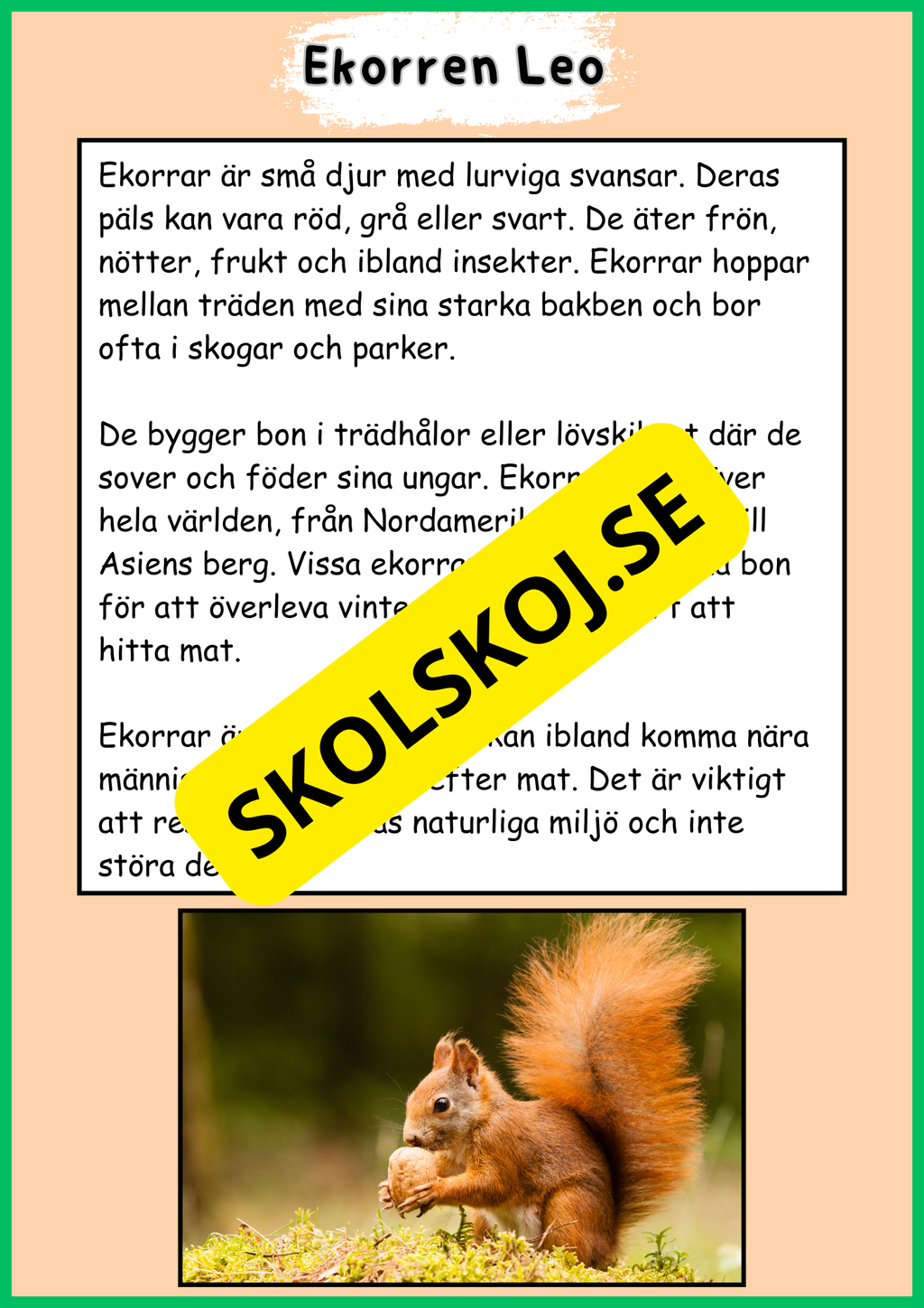 Skogens djur - Häfte