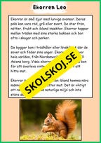 Skogens djur - Häfte