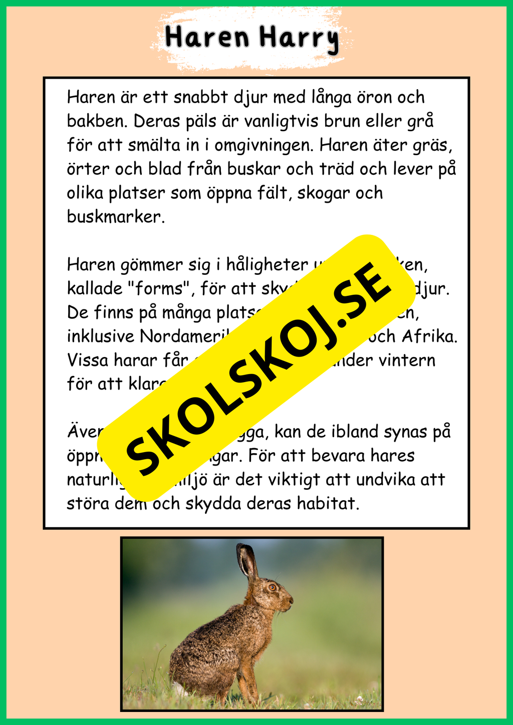 Skogens djur - Häfte