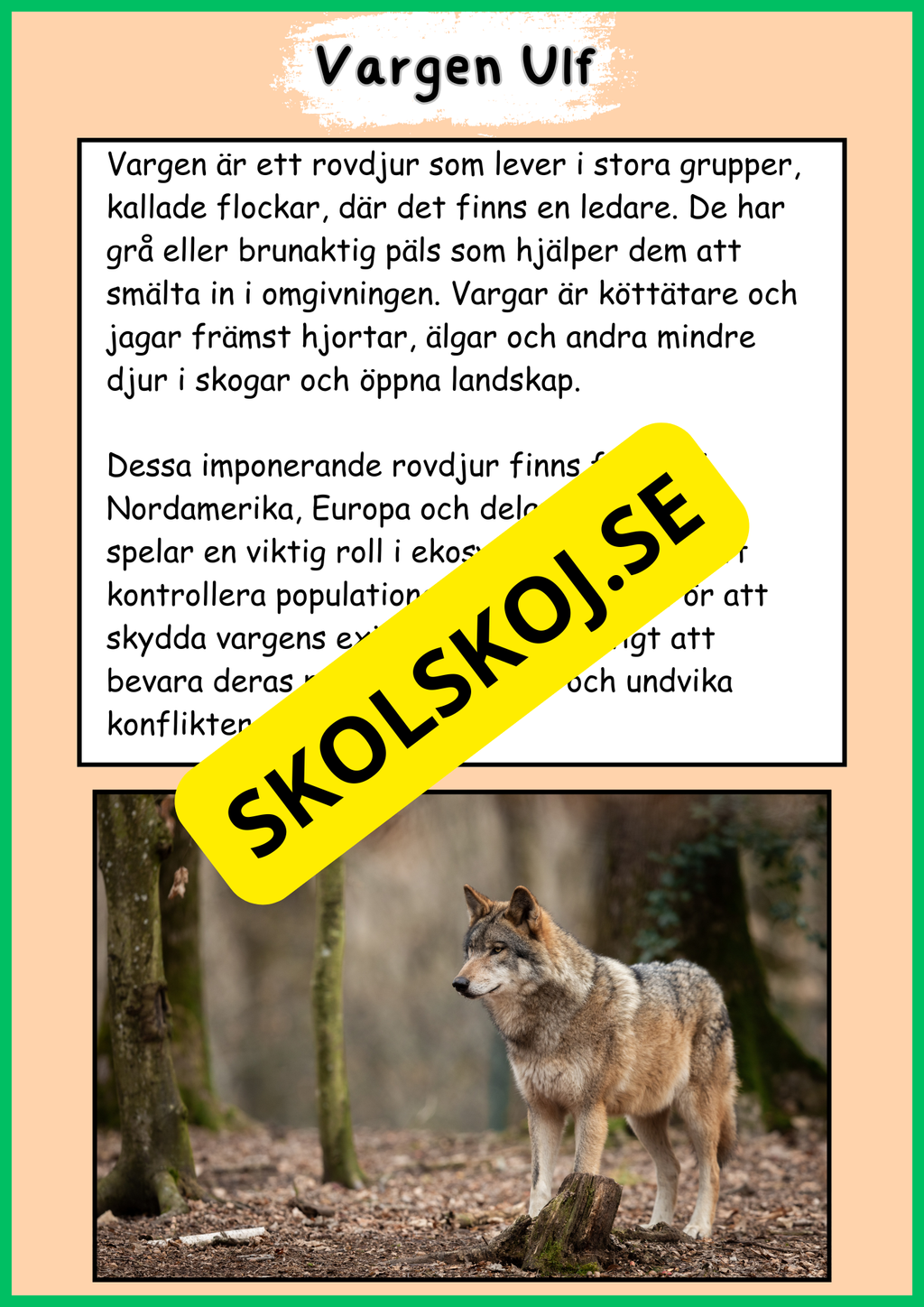 Skogens djur - Häfte