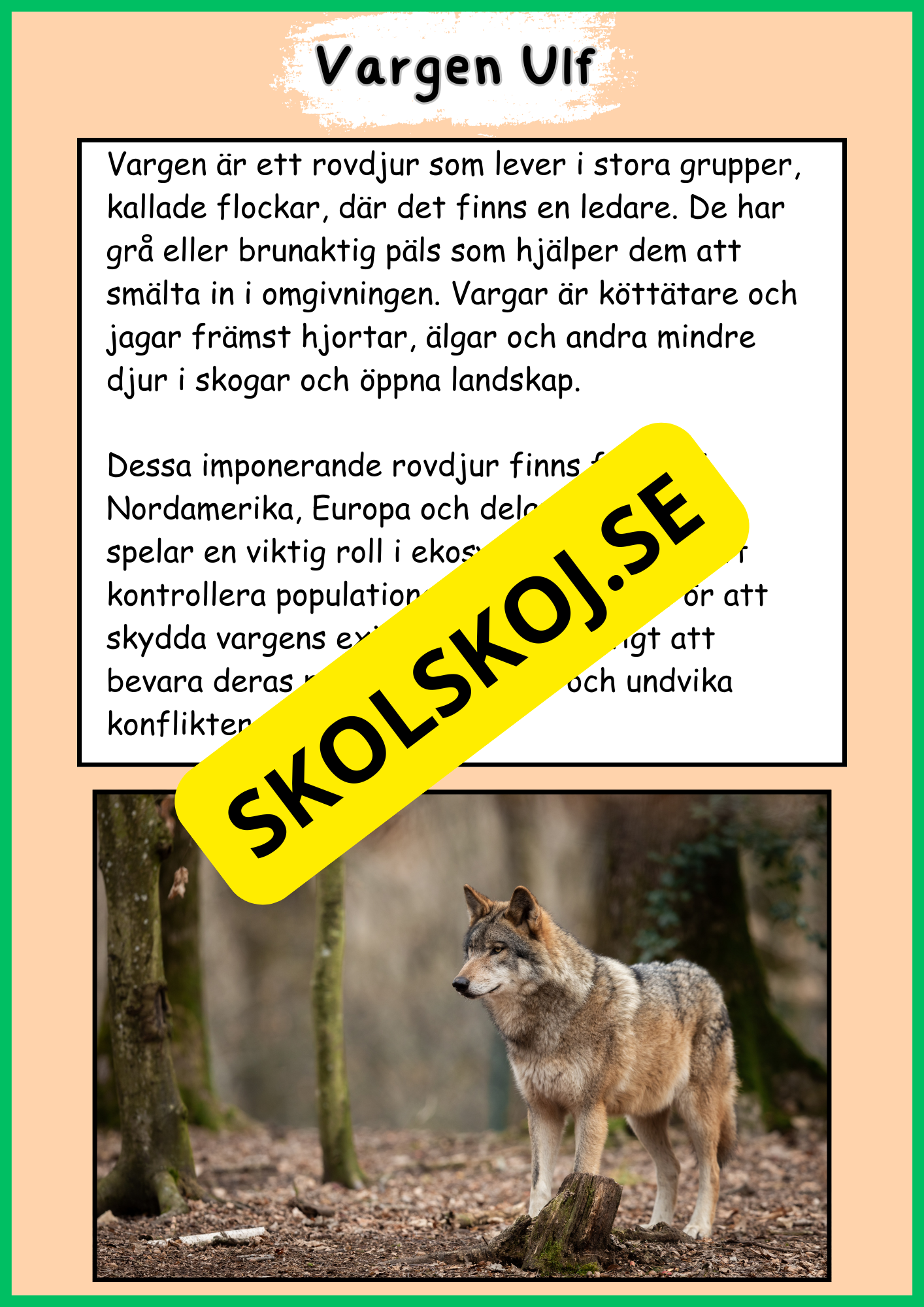 Skogens djur - Häfte