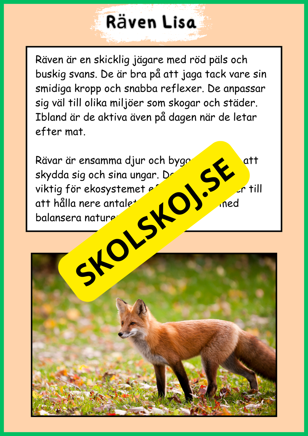 Skogens djur - Häfte