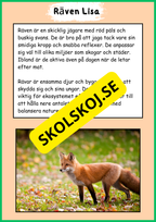 Skogens djur - Häfte