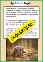 Skogens djur - Häfte